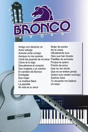 Toca Todo Fácil – No.241- Bronco
